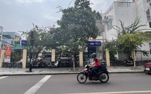 Cây ATM "mọc" trong khu đất mặt tiền trụ sở UBND phường tại Bình Định