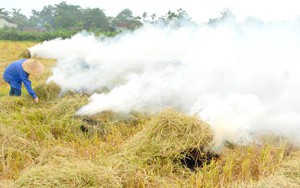 TT-Huế: Chủ tịch UBND cấp huyện phải chịu trách nhiệm khi để dân đốt rơm rạ sau thu hoạch 
