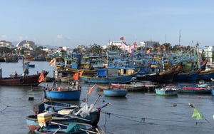 Một tàu cá đánh bắt trái phép bị bắt ở vùng biển nước ngoài, nhiều cơ quan, tổ chức phải kiểm điểm