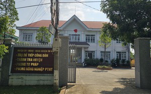 Xác minh thông tin Trưởng phòng Tư pháp ở Đắk Nông bị nghi trộm cây hoa giấy