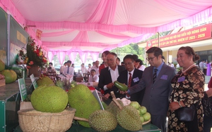 Đại hội Hội nông dân huyện Đắk R'lấp: Nông dân đóng góp hơn 125 tỷ đồng phát triển hạ tầng cơ sở nông thôn