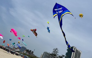 Bà Rịa - Vũng Tàu: Hàng trăm cánh diều "thả dáng" trên biển, du khách thích thú