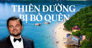 Địa danh Việt Nam Leonardo DiCaprio gọi là 'thiên đường', ngay Hải Phòng mà nhiều người chưa biết