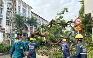 Trường THCS Trần Văn Ơn hỗ trợ chi phí các nạn nhân bị cây đè trúng, túc trực tại bệnh viện 