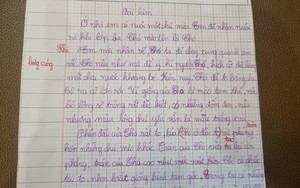 Bài văn tả con mèo của học sinh lớp 4 ở Hà Nội khiến người đọc ôm bụng cười 