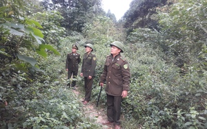 Giữ rừng ở Lai Châu những ngày nắng lửa, ai vào rừng phải đăng ký