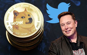 Dogecoin tăng vọt sau khi Elon Musk thay thế logo chú chim xanh Twitter bằng Shiba Inu