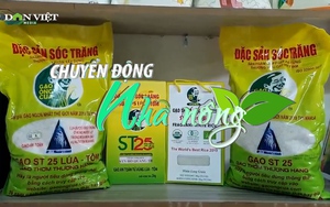 Chuyển động Nhà nông 5/4: Xuất khẩu 10 container gạo ST25 sang đảo quốc Vanuatu