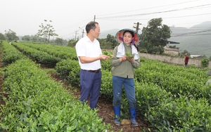 Chủ tịch UBND tỉnh Thái Nguyên chuẩn bị đối thoại với nông dân: Tập trung vào 4 nội dung chính