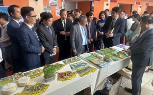 Vinaseed mở rộng dịch vụ cung cấp giống cây trồng tại Lào tại TECH - INNOVATION VIETNAM - LAOS 2023