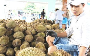 Chọn sản phẩm đặc thù để nâng tầm và tập trung quảng bá, không nên đánh đồng... "món nào cũng ngon"