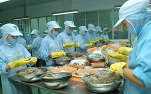 Thủy sản Thuận Phước (THP): Mục tiêu xuất khẩu thủy sản đạt 130 triệu USD, giá cổ phiếu vừa về "mệnh"