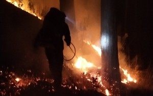 Thông tin mới nhất vụ cháy rừng ở đèo Prenn, Đà Lạt: Xuyên đêm chữa cháy, dùng flycam để giám sát