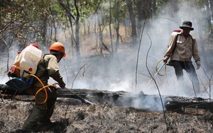 Lực lượng chữa cháy xách từng can nước lên đồi để dập lửa vụ cháy rừng thông tại TP.Đà Lạt