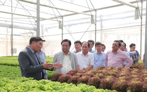 Bộ trưởng Lê Minh Hoan: Đưa Lâm Đồng thành &quot;điểm đến nông nghiệp xanh&quot;