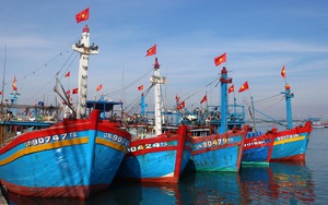 Trung Quốc đơn phương cấm đánh cá có thời hạn trên biển Đông, Bộ NNPTNT đề nghị động viên ngư dân bám biển