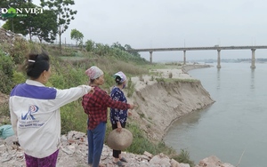 Phú Thọ: Sạt lở bờ vở sông nghiêm trọng khiến hàng chục héc ta đất bãi, rau màu bị cuốn trôi