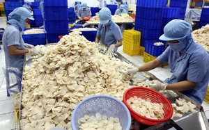Bánh phồng tôm Sa Giang (SGC) “về tay” bà Trương Thị Lệ Khanh lên mục tiêu lãi 80 tỷ, trong khi quý I giảm 75%
