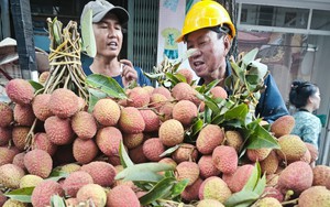 Vải thiều giá bình dân ngay từ đầu mùa