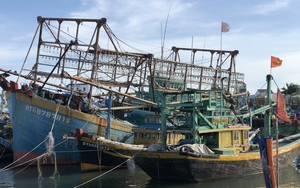 Lật chiêu những tàu đánh bắt cá thu gom, gửi thiết bị giám sát hành trình trên biển ở Bình Thuận