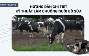 SỔ TAY NHÀ NÔNG: Hướng dẫn kỹ thuật làm chuồng nuôi bò sữa