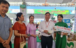 Chủ tịch Quảng Nam Lê Trí Thanh làm tổ trưởng tổ công tác đặc biệt