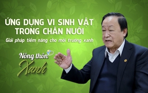 NÔNG THÔN XANH: Ứng dụng vi sinh vật trong chăn nuôi - giải pháp tiềm năng cho môi trường xanh