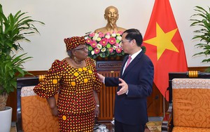 Việt Nam ủng hộ hệ thống thương mại đa phương mở, minh bạch, công bằng 