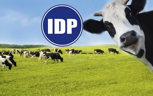 Sữa Quốc Tế (IDP) bất ngờ giải thể công ty con đã góp 99,98% vốn