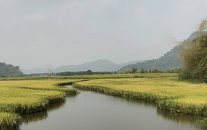 Năm 2025, sản xuất hữu cơ toàn tỉnh Bình Thuận đạt khoảng 1,5 - 2,0% tổng diện tích đất nông nghiệp