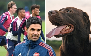 Mê tín, HLV Arteta mang chó tới sân tập của Arsenal