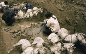 Bí mật trong lăng mộ Tần Thủy Hoàng: Loài vật cũng bị tuẫn táng
