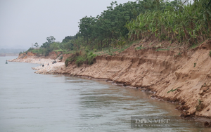 Phú Thọ chi khẩn cấp 15 tỷ đồng xây kè ngăn sạt lở bờ vở sông Đà