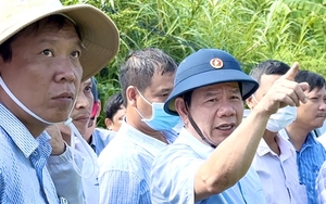 Quảng Ngãi: Chủ tịch tỉnh “lệnh” giữ nguyên trạng đất đai ở Lý Sơn đến khi công bố quy hoạch 1/2000