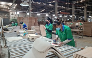 Xuất khẩu gỗ sụt giảm, doanh nghiệp gỗ Việt gửi kiến nghị đến ngành ngoại giao