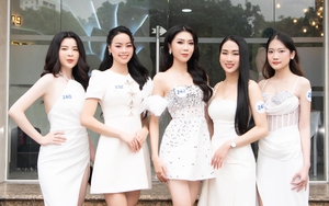 Thí sinh Miss World Vietnam, Miss Grand Vietnam bất ngờ bị "gạ gẫm", lừa đảo gây hoang mang