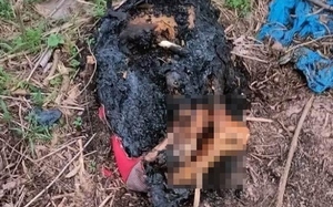 TIN NÓNG 24 GIỜ QUA: Phát hiện phần thi thể phụ nữ bị đốt cháy; lái xe máy trộm cắp tông vào CSGT