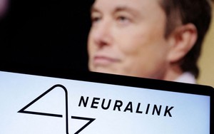 Tỷ phú Elon Musk thử nghiệm cấy chip vào não người chữa béo phì