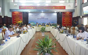 Tây Ninh chú trọng phát triển nông nghiệp ứng dụng công nghệ cao
