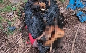 Bộ Công an vào cuộc điều tra vụ 1 phần thi thể người phụ nữ bị đốt cháy ở Bình Dương