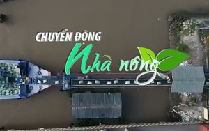 Chuyển động Nhà nông 27/5: Phê duyệt Chiến lược phát triển thị trường xuất khẩu gạo Việt Nam