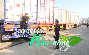 Chuyển động Nhà nông 28/5: Xe chở hàng lên cửa khẩu Lạng Sơn tăng đột biến