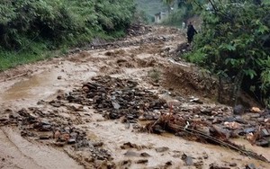 Lào Cai: Đi kiểm tra ruộng, một nông dân bị sét đánh tử vong