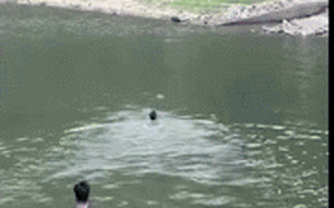Clip NÓNG 24h: Đi dã ngoại gần hồ Côn Sơn, bố mẹ suýt ân hận cả đời khi không biết con nhỏ đuối nước