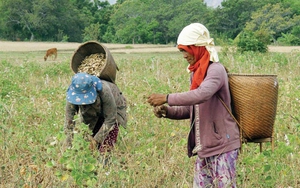 Bình Thuận: Nhiều giải pháp để giảm nghèo nhanh và bền vững