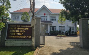 Vụ Trưởng phòng Tư pháp ở Đắk Nông bị nghi trộm cây hoa giấy: Công an vào cuộc điều tra