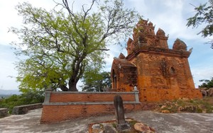 Bí ẩn bảo vật quốc gia bên trong tháp Chăm thờ vị vua cuối cùng của vương quốc Chămpa ở Ninh Thuận