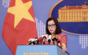 Việt Nam phản đối và đề nghị dừng lưu hành vật phẩm có hình 