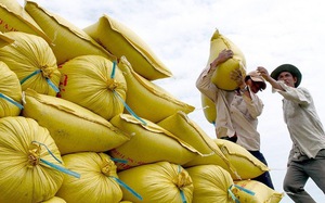 Một nước châu Á đột nhiên tăng tốc thu gom loại nông sản chủ lực của Việt Nam, sức mua tăng 177 lần