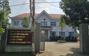 Luật sư nói về vụ Trưởng phòng Tư pháp ở Đắk Nông bị nghi trộm cây hoa giấy 